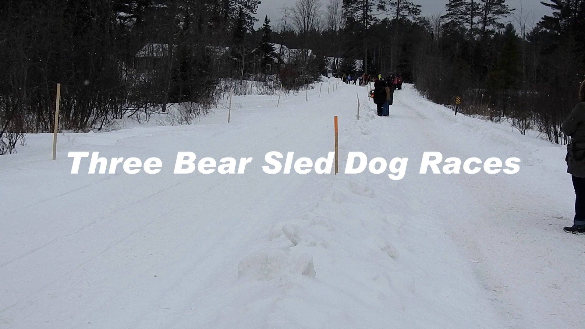 Three Bear Sled Dog Races